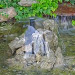 A small pond surrounded by rocks and plants. A fountain in the middle sprays a cascading dome of water over a pile of rocks.