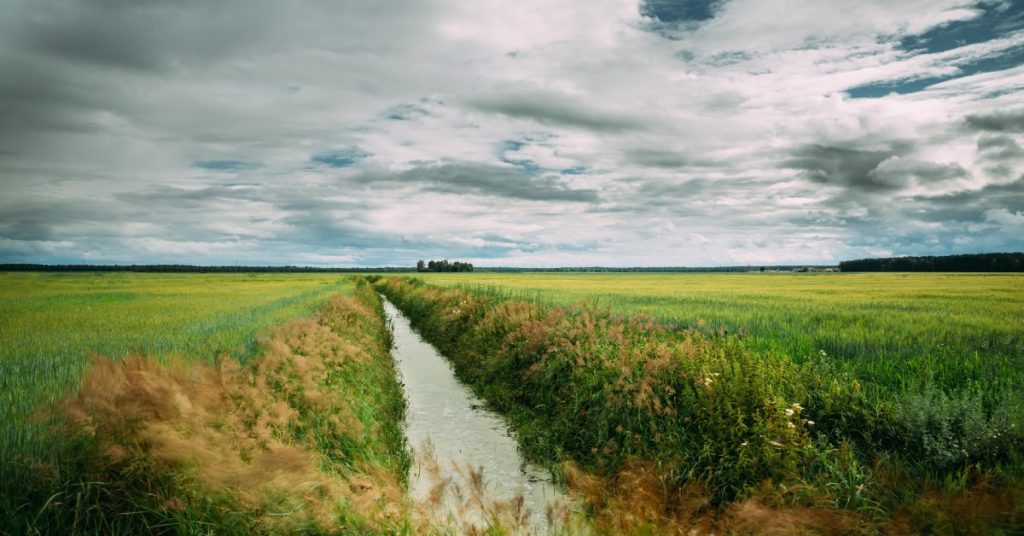 A drainage ditch filled with water sits between two large plots of grassy land. A cloudy sky is above the land.