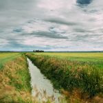 A drainage ditch filled with water sits between two large plots of grassy land. A cloudy sky is above the land.