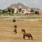 A large ranch house on a hill overlooks a fenced pasture where several horses graze under a pale blue sky.
